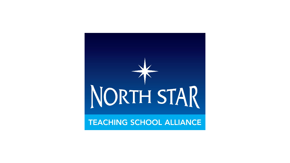 North Star Logo_Low